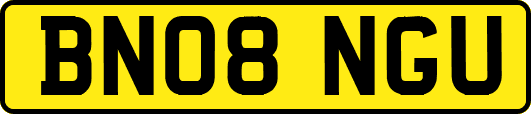 BN08NGU