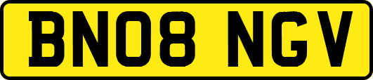 BN08NGV