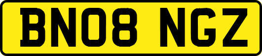 BN08NGZ