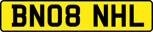 BN08NHL