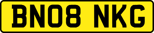 BN08NKG