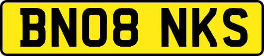 BN08NKS