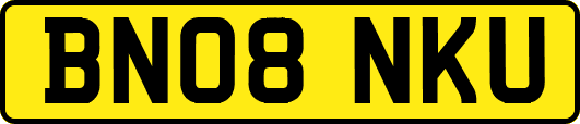 BN08NKU