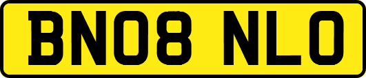 BN08NLO