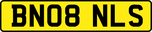 BN08NLS