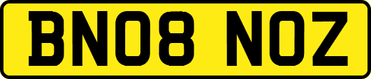 BN08NOZ