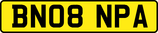 BN08NPA