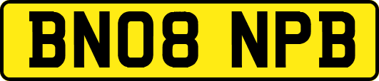 BN08NPB