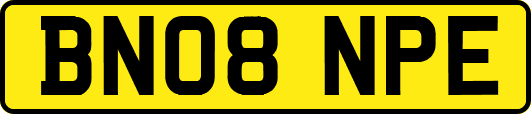 BN08NPE