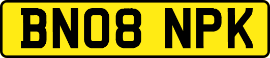 BN08NPK