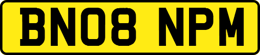 BN08NPM