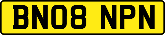 BN08NPN