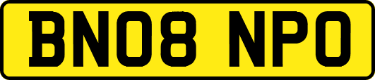BN08NPO
