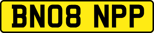 BN08NPP