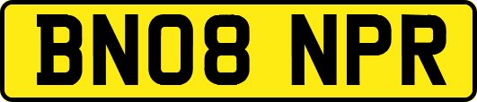 BN08NPR