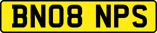 BN08NPS
