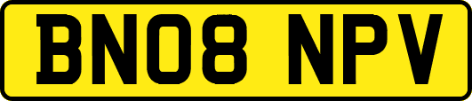 BN08NPV