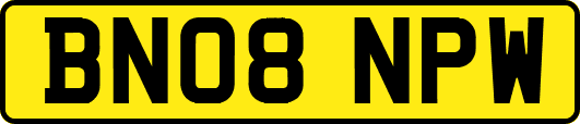 BN08NPW