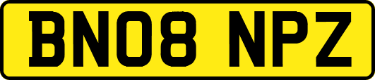 BN08NPZ