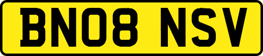 BN08NSV