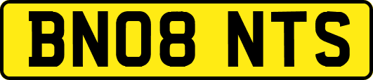 BN08NTS