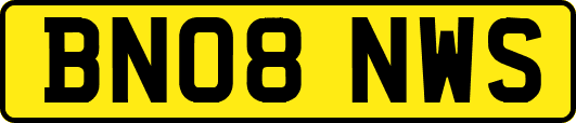 BN08NWS