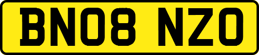 BN08NZO