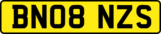 BN08NZS