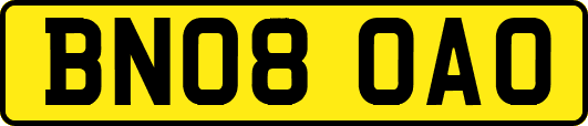 BN08OAO