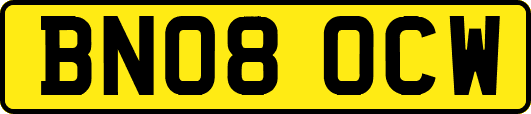 BN08OCW