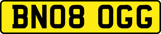 BN08OGG