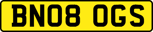 BN08OGS
