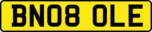 BN08OLE