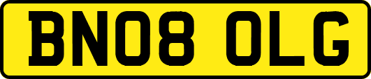 BN08OLG