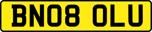 BN08OLU