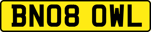 BN08OWL