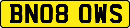 BN08OWS