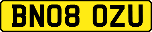 BN08OZU