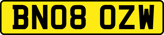 BN08OZW