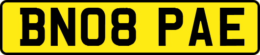 BN08PAE