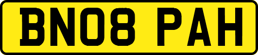 BN08PAH