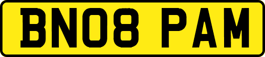 BN08PAM