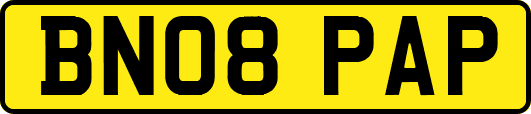 BN08PAP