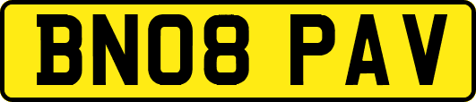 BN08PAV