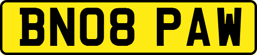 BN08PAW