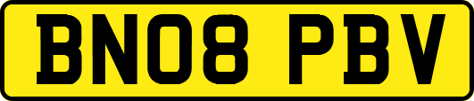 BN08PBV