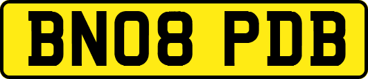 BN08PDB