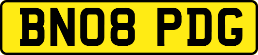 BN08PDG
