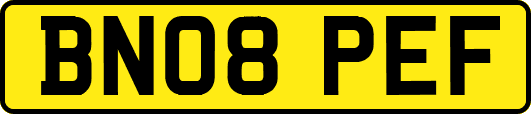 BN08PEF