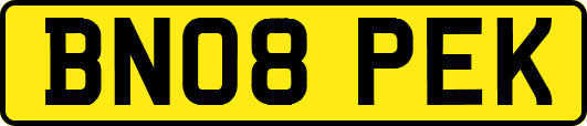 BN08PEK